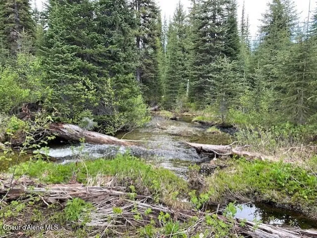 Nka 640 Ac Shoot Creek Road Unincorporated ID 83525