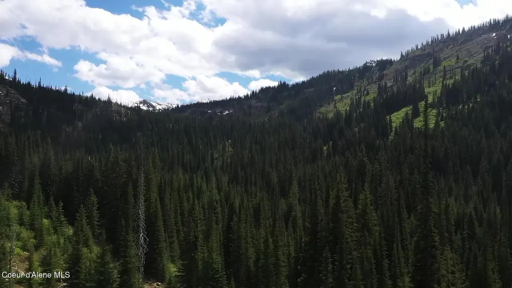 Nka 640 Ac Shoot Creek Road Unincorporated ID 83525