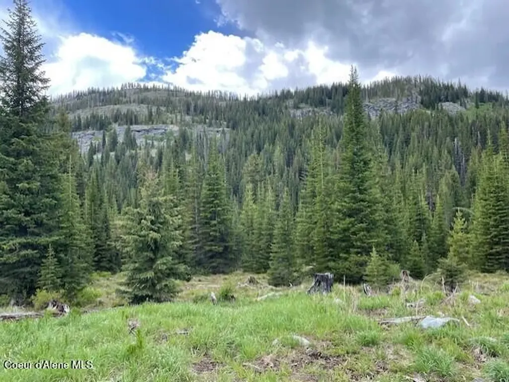Nka 640 Ac Shoot Creek Road Unincorporated ID 83525