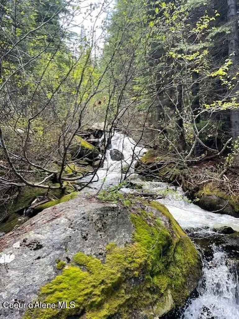 Nka 640 Ac Shoot Creek Road Unincorporated ID 83525