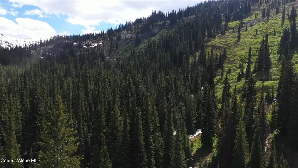 Nka 640 Ac Shoot Creek Road Unincorporated ID 83525