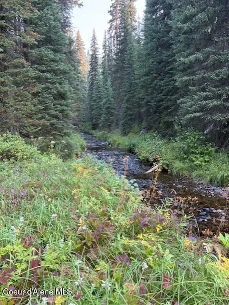 NW 80-ac Pack Creek Road Unincorporated ID 83525