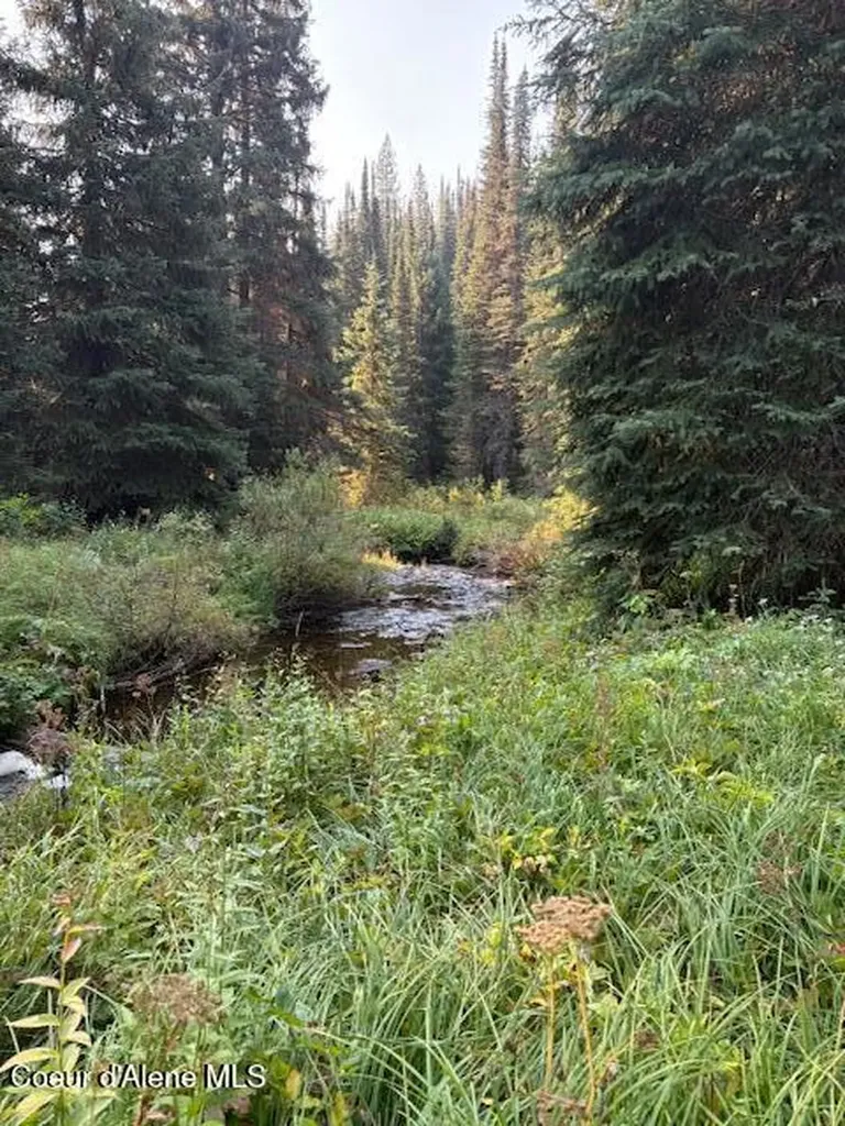 NW 80-ac Pack Creek Road Unincorporated ID 83525