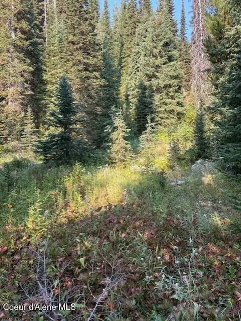 NW 80-ac Pack Creek Road Unincorporated ID 83525
