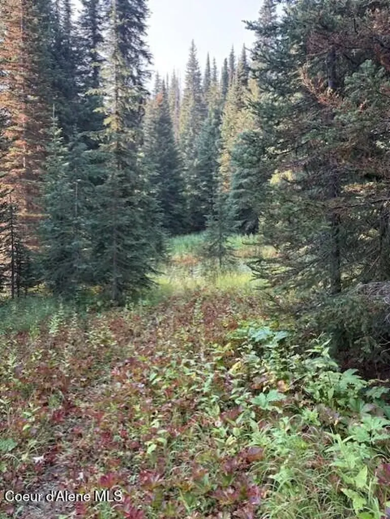 NW 80-ac Pack Creek Road Unincorporated ID 83525