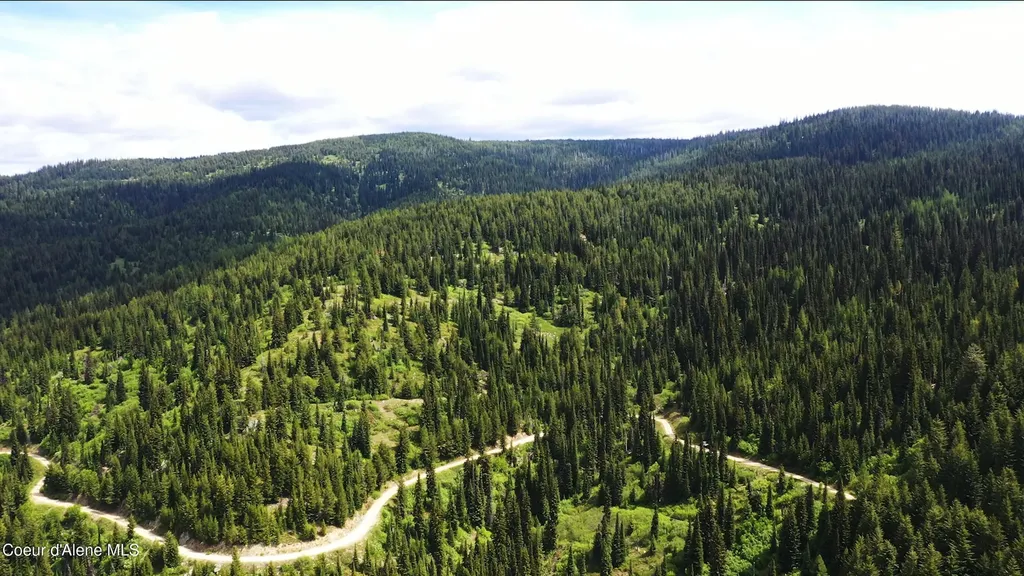 NW 80-ac Pack Creek Road Unincorporated ID 83525