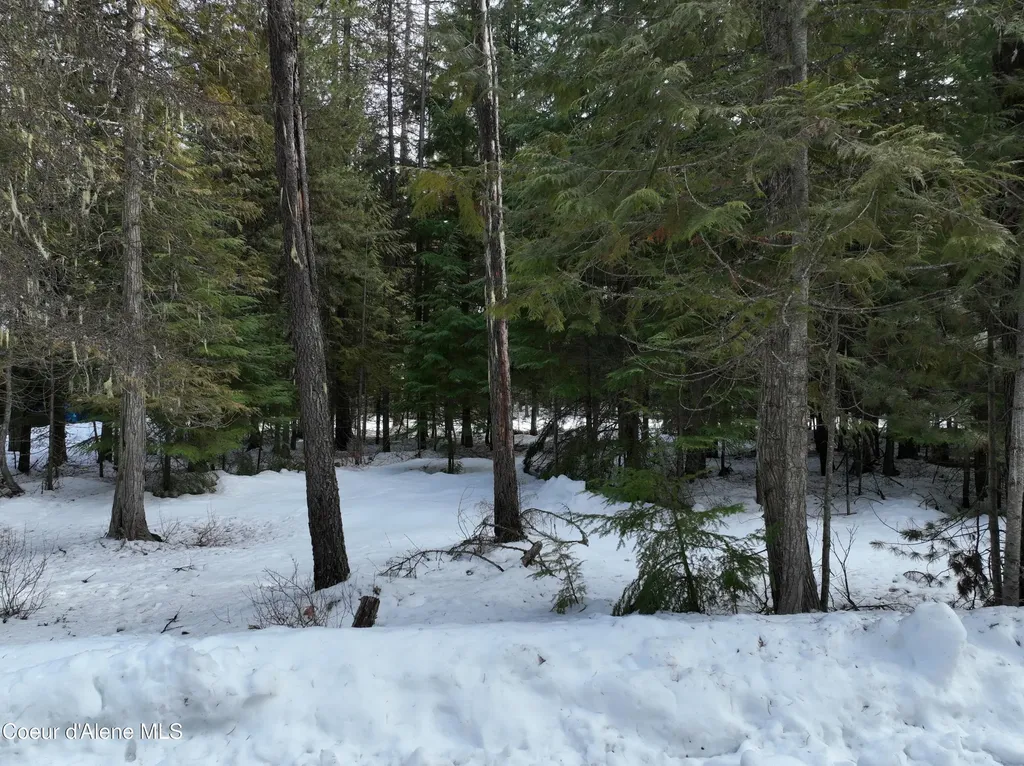 Lot 5 Cougar Gulch Nordman ID 83848