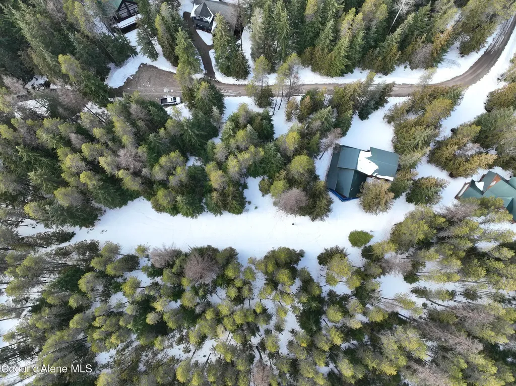 Lot 5 Cougar Gulch Nordman ID 83848