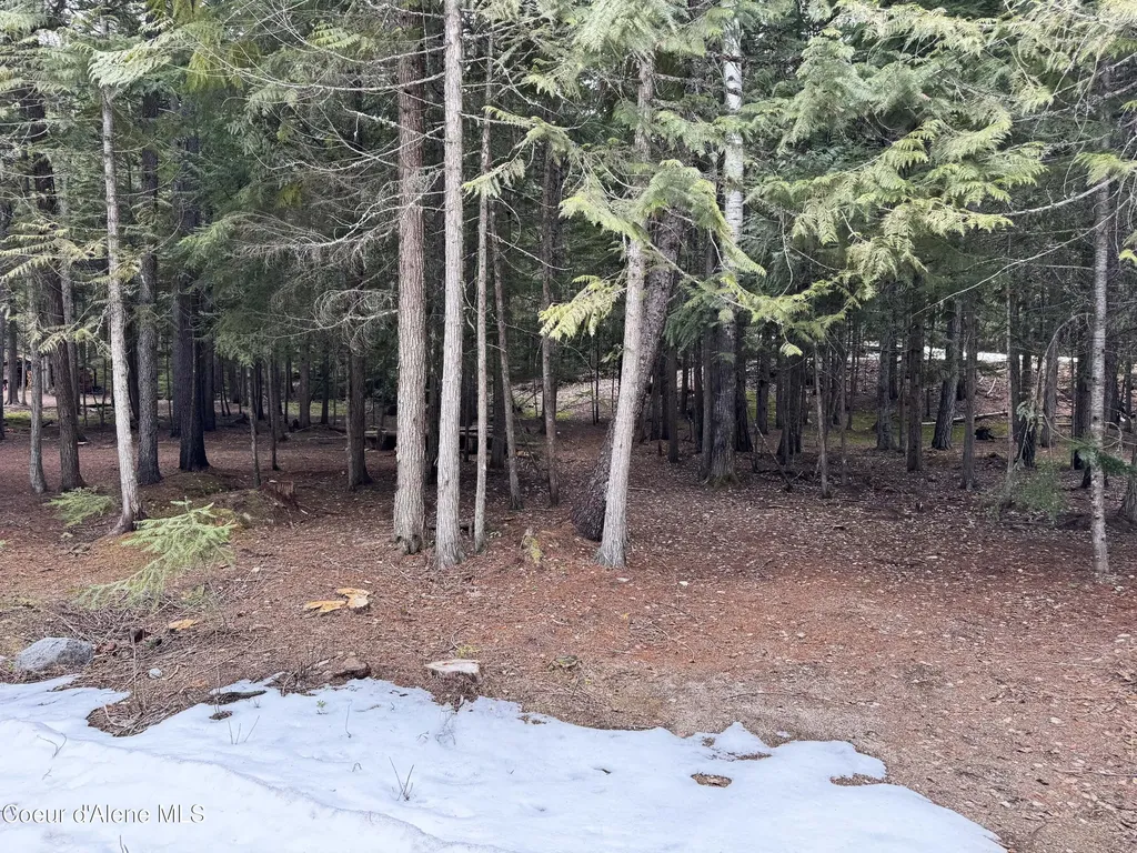 Lot 5 Cougar Gulch Nordman ID 83848