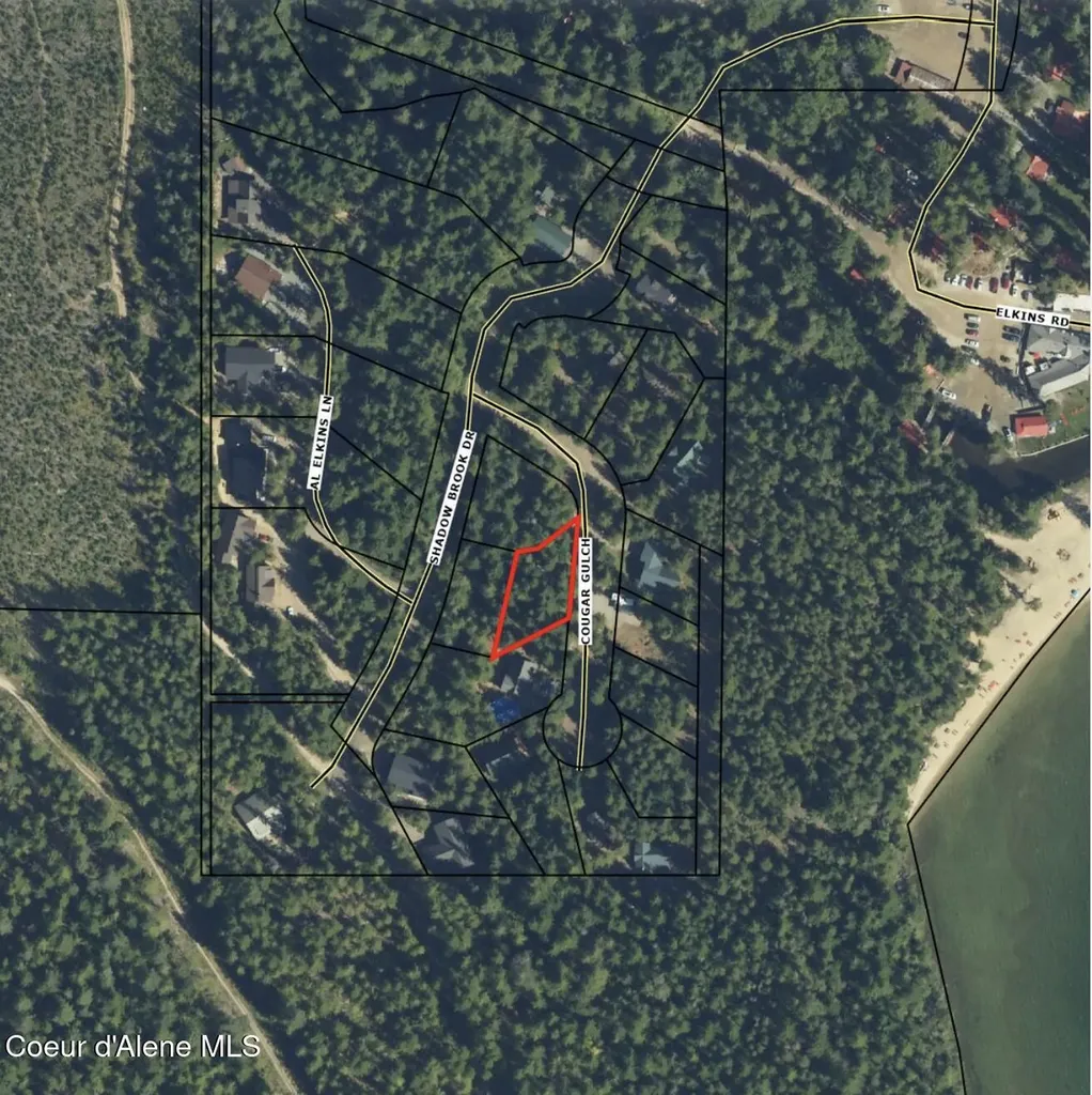 Lot 5 Cougar Gulch Nordman ID 83848