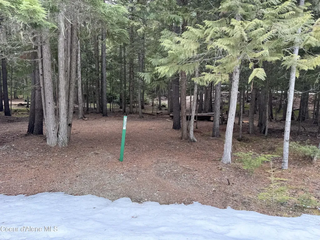 Lot 5 Cougar Gulch Nordman ID 83848