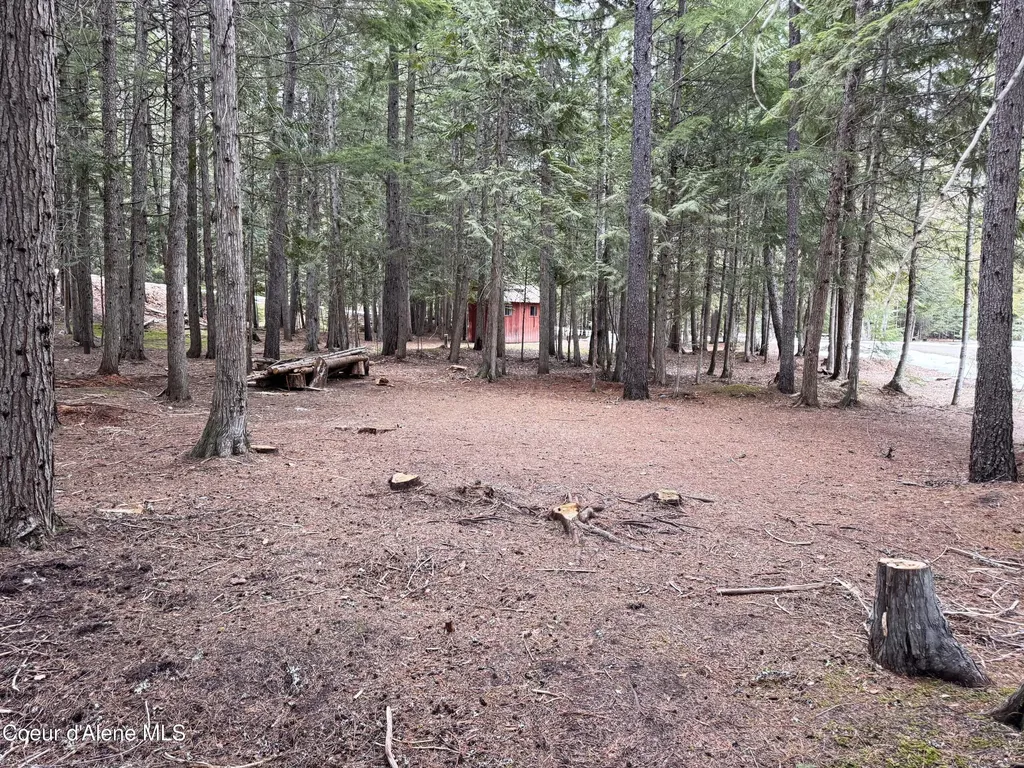 Lot 5 Cougar Gulch Nordman ID 83848