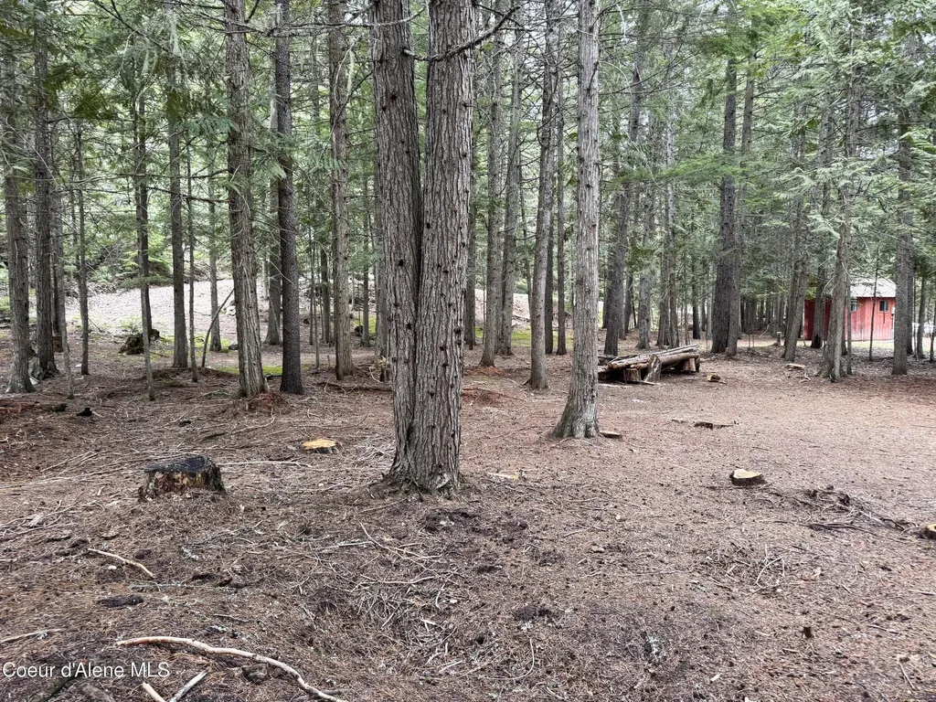 Lot 5 Cougar Gulch Nordman ID 83848