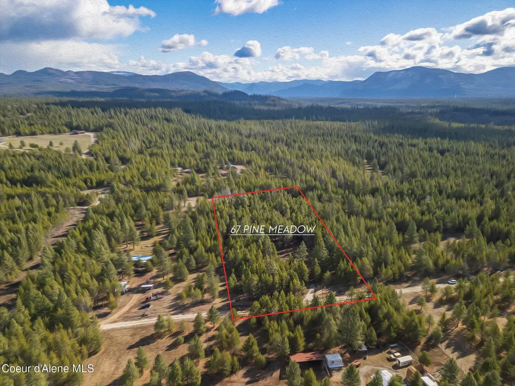 67 Pine Meadow Athol ID 83801