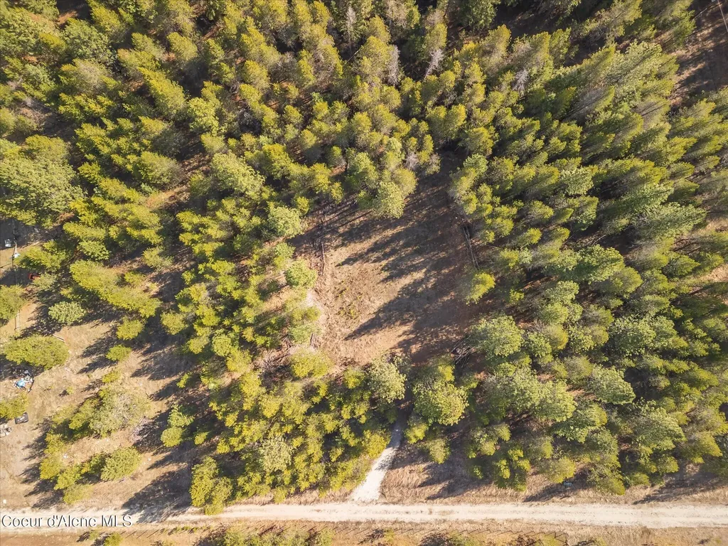 67 Pine Meadow Athol ID 83801