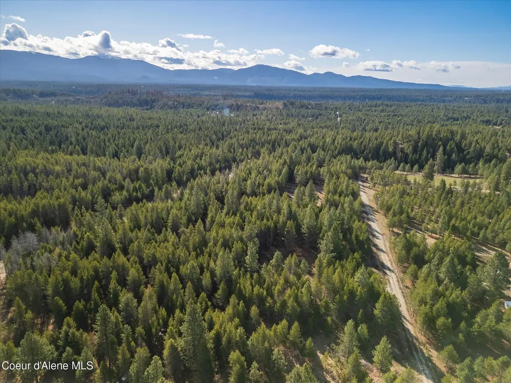 67 Pine Meadow Athol ID 83801