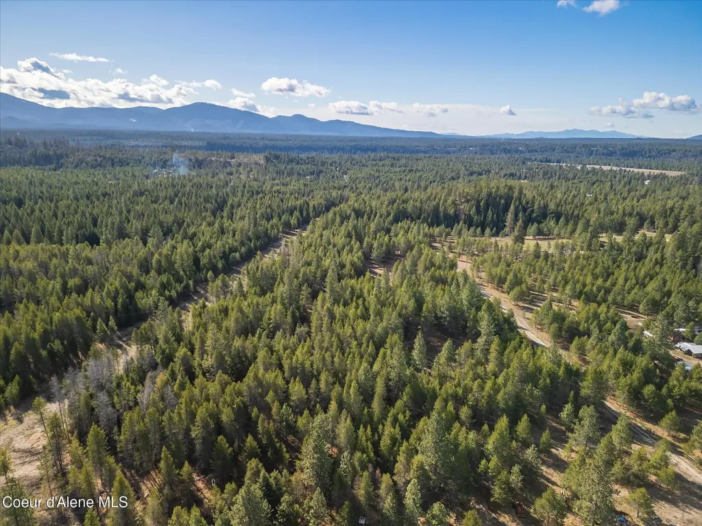67 Pine Meadow Athol ID 83801