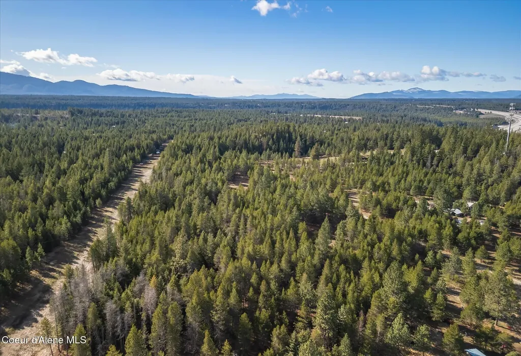 67 Pine Meadow Athol ID 83801