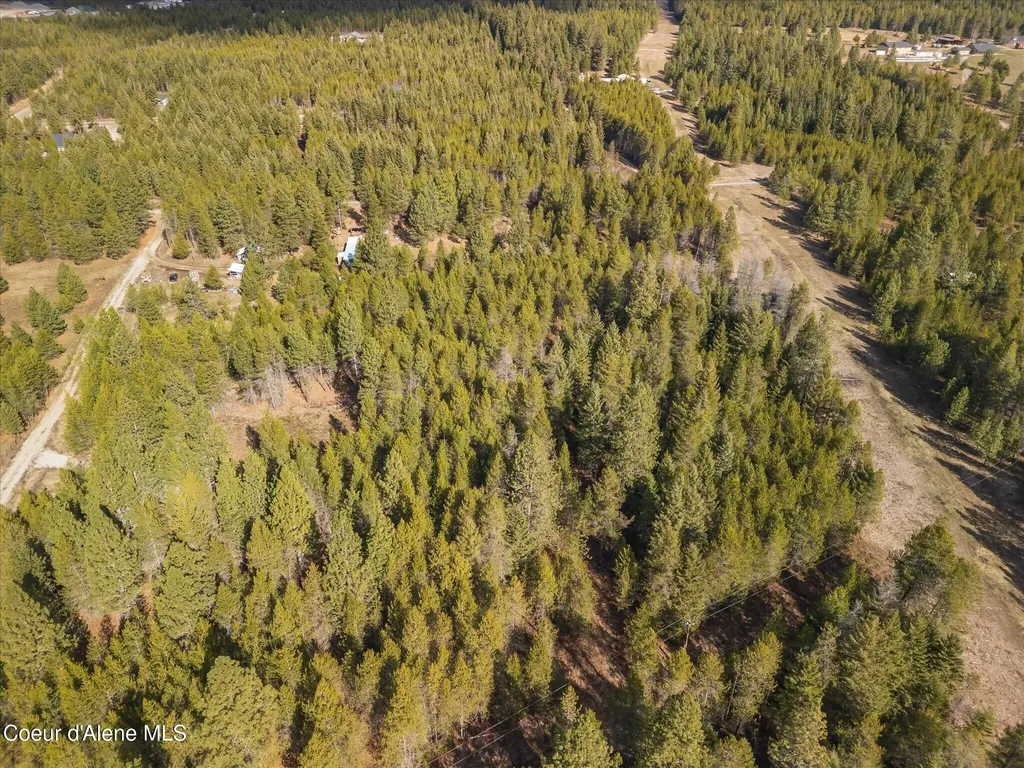 67 Pine Meadow Athol ID 83801