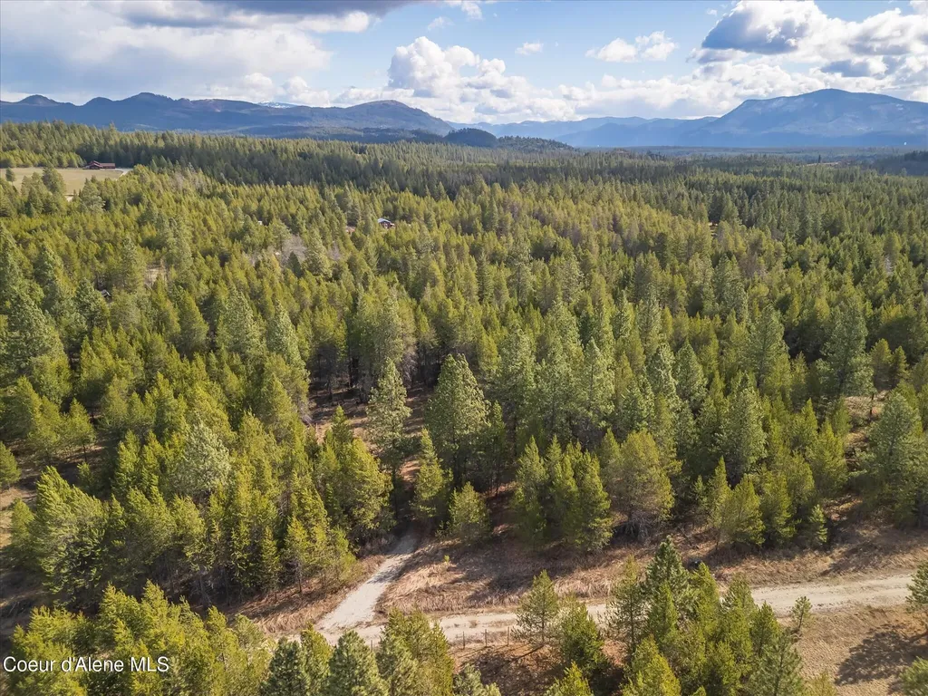 67 Pine Meadow Athol ID 83801