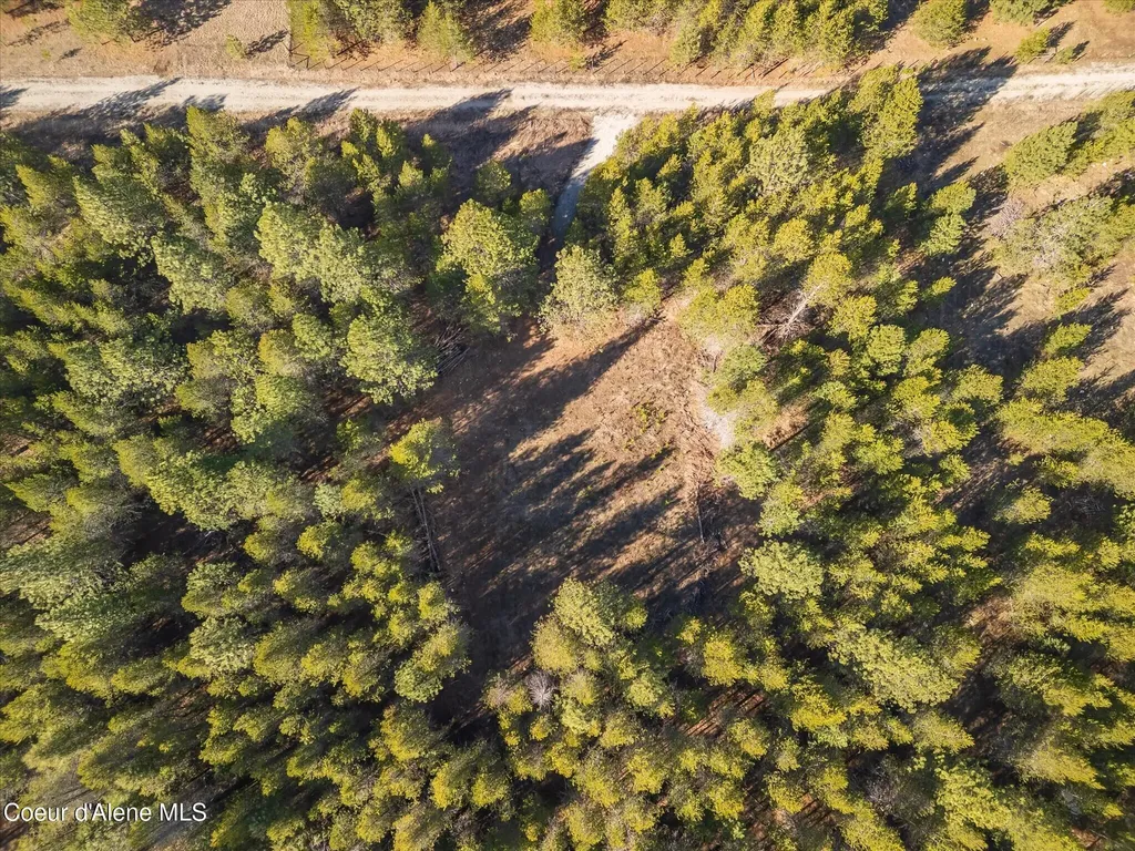 67 Pine Meadow Athol ID 83801