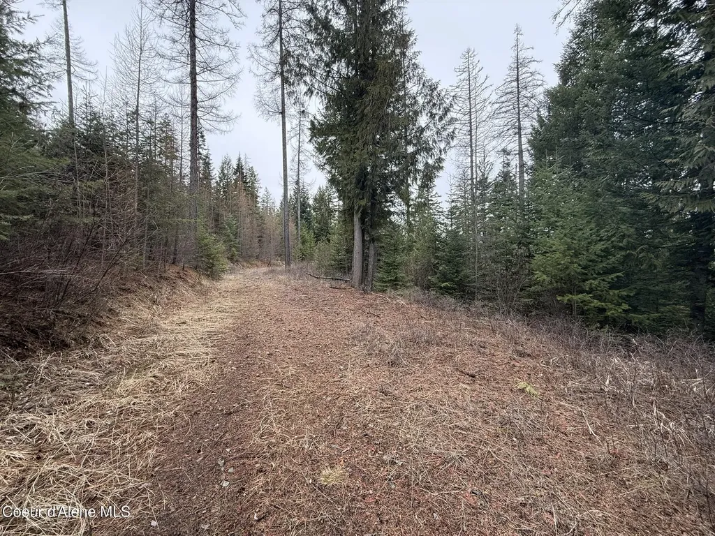 Nka Hells Gulch Road St. Maries ID 83861