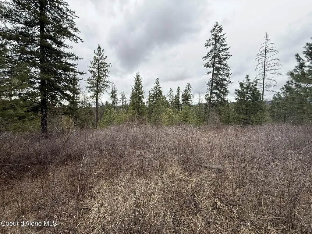 Nka Hells Gulch Road St. Maries ID 83861