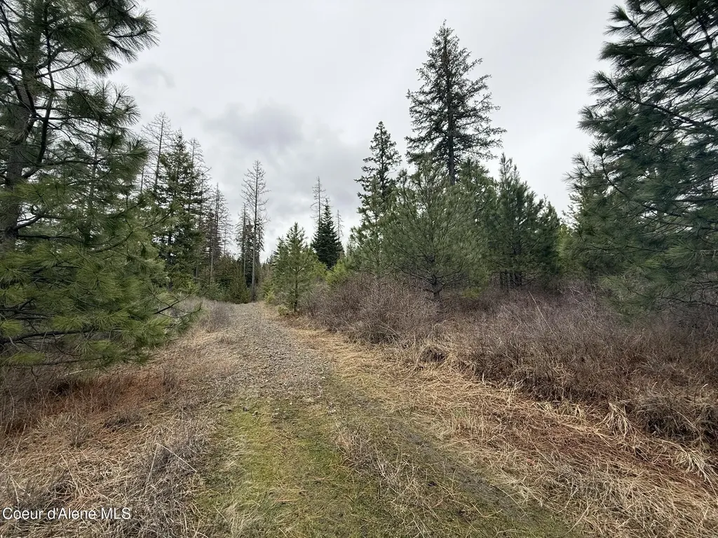 Nka Hells Gulch Road St. Maries ID 83861