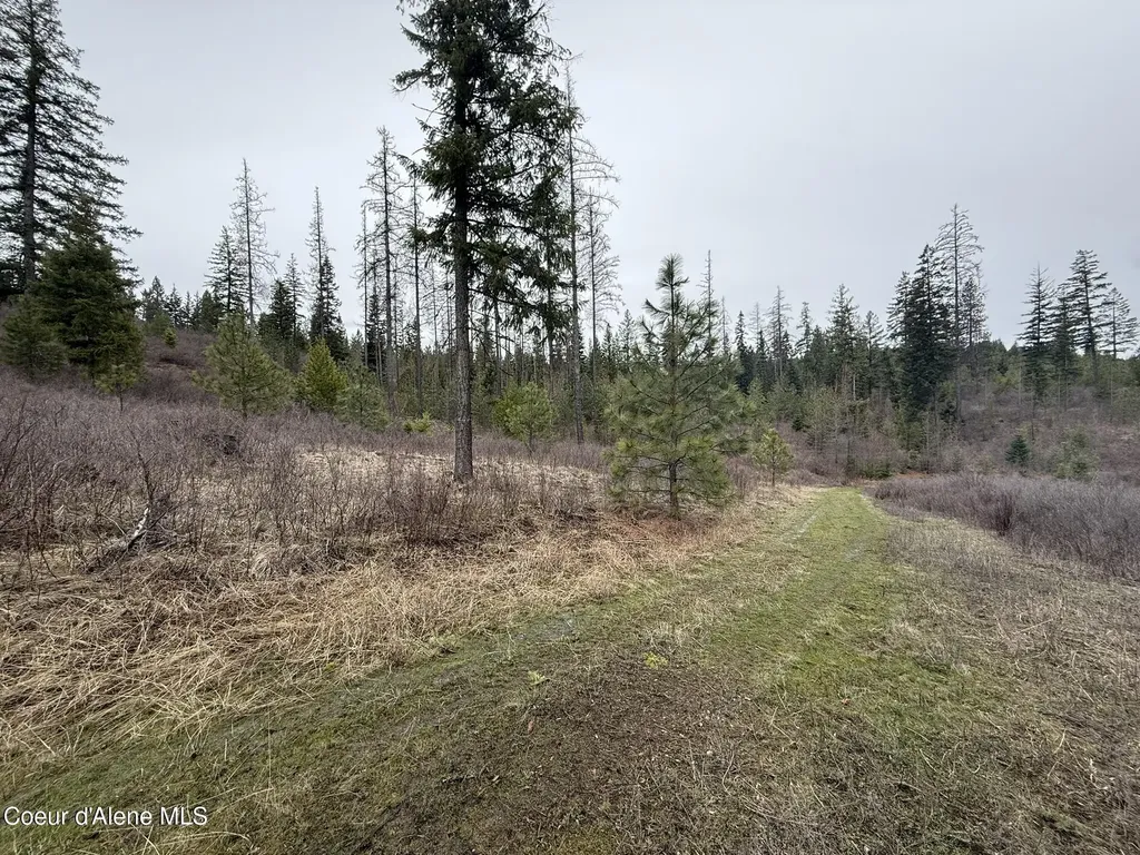 Nka Hells Gulch Road St. Maries ID 83861