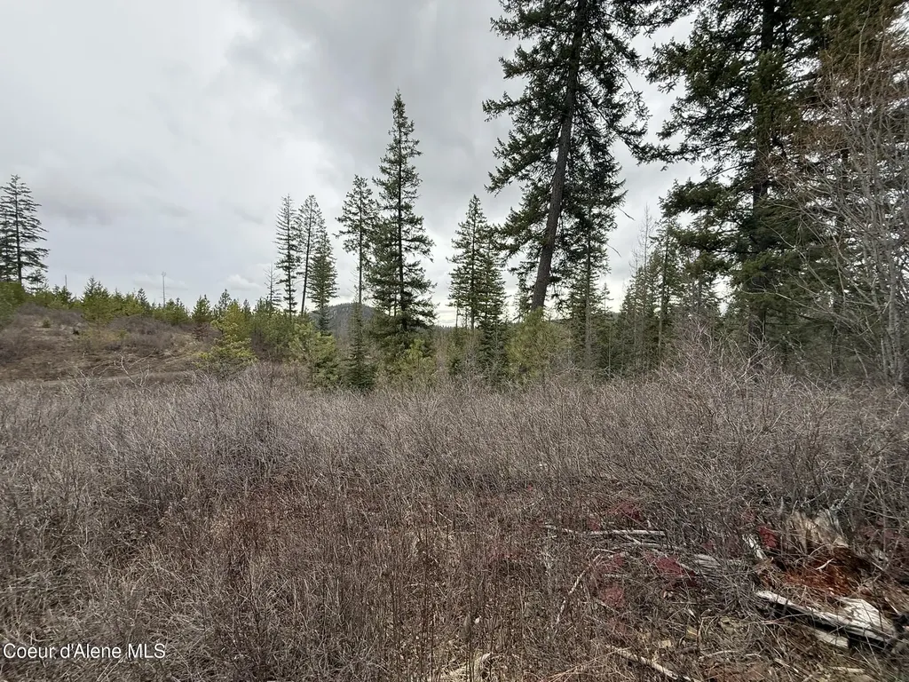 Nka Hells Gulch Road St. Maries ID 83861