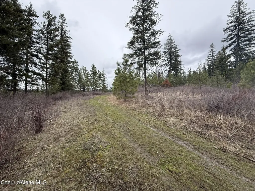 Nka Hells Gulch Road St. Maries ID 83861