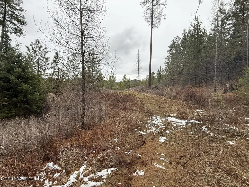 Nka Hells Gulch Road St. Maries ID 83861