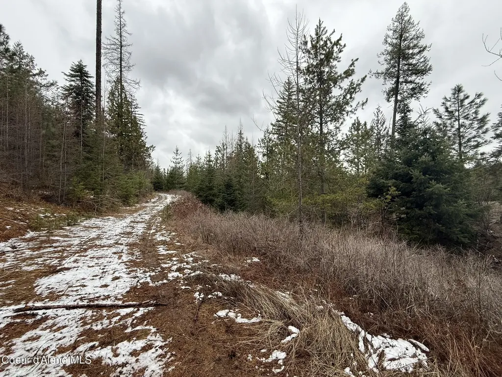 Nka Hells Gulch Road St. Maries ID 83861