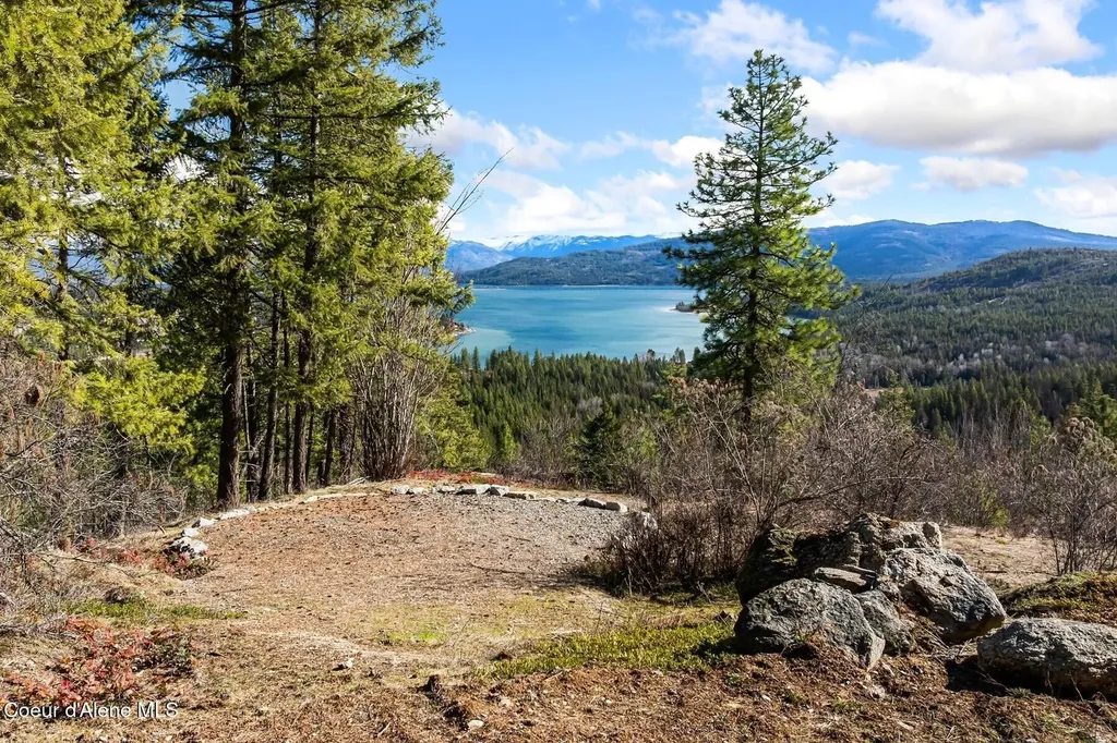 729 Delaney Drive Sagle ID 83860