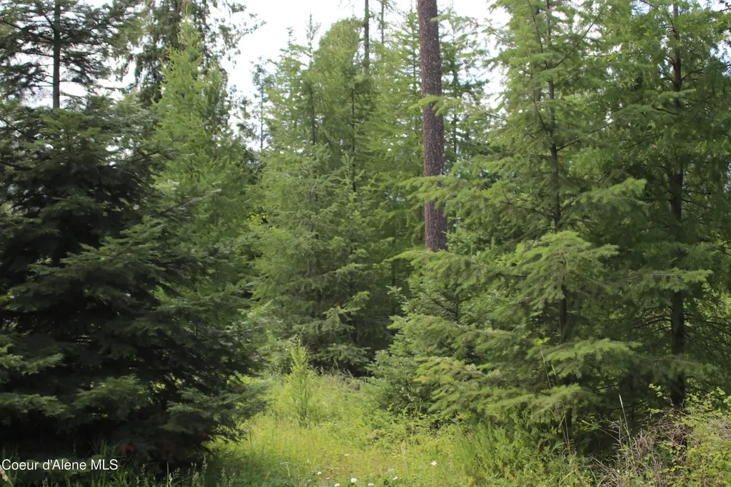 Nna Smugglers Lane - Tract 5 Bonners Ferry ID 83805