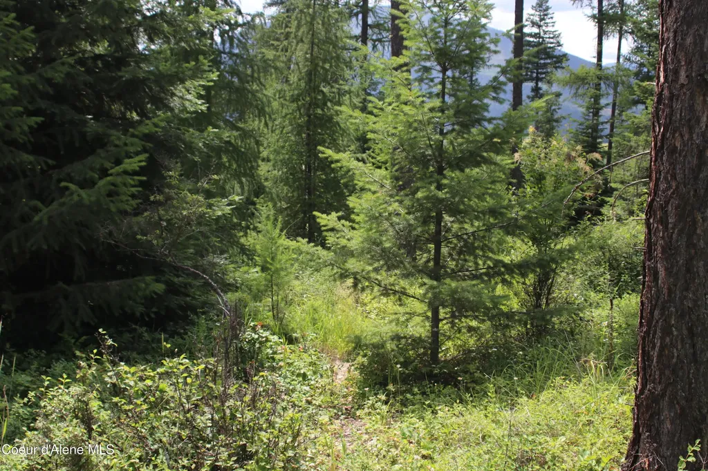 Nna Smugglers Lane - Tract 5 Bonners Ferry ID 83805