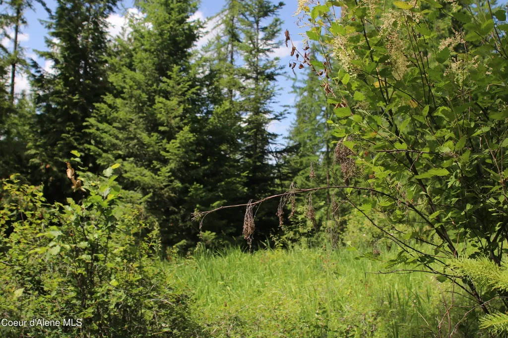 Nna Smugglers Lane - Tract 5 Bonners Ferry ID 83805