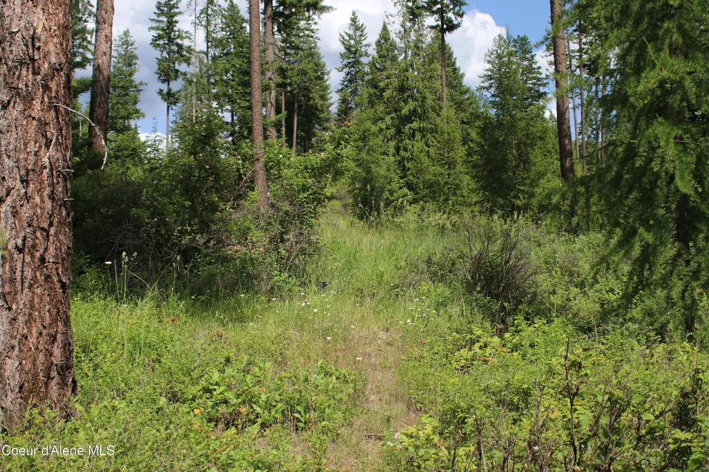 Nna Smugglers Lane - Tract 5 Bonners Ferry ID 83805