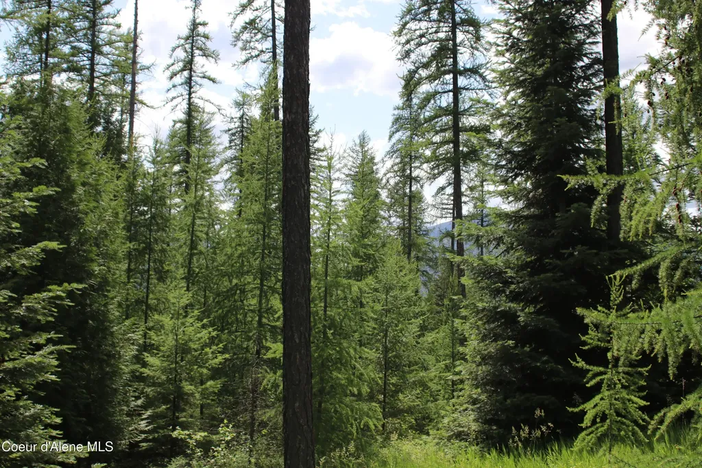 Nna Smugglers Lane - Tract 5 Bonners Ferry ID 83805