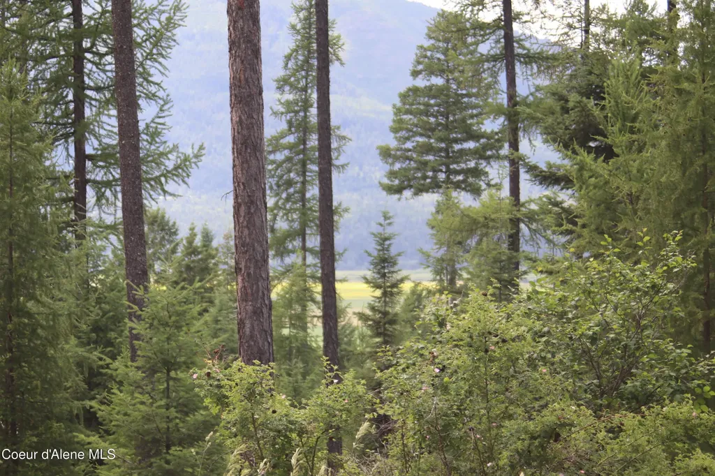 Nna Smugglers Lane - Tract 5 Bonners Ferry ID 83805