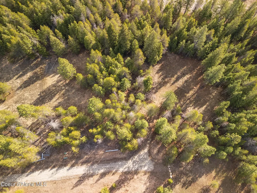 Nka Pine Meadow Athol ID 83801