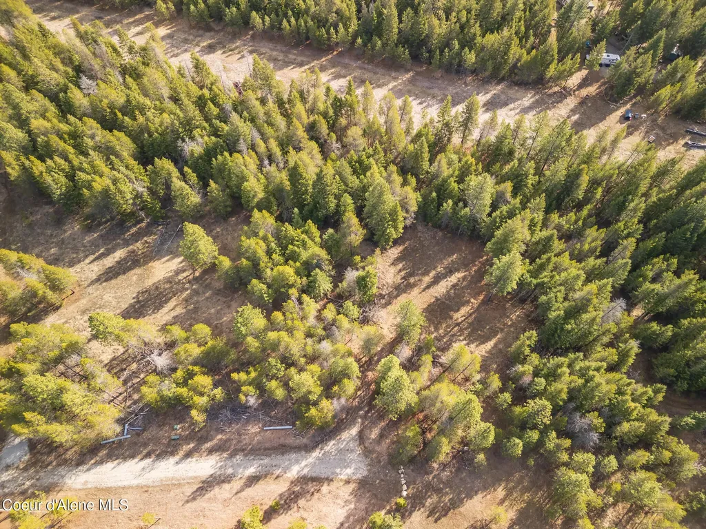 Nka Pine Meadow Athol ID 83801