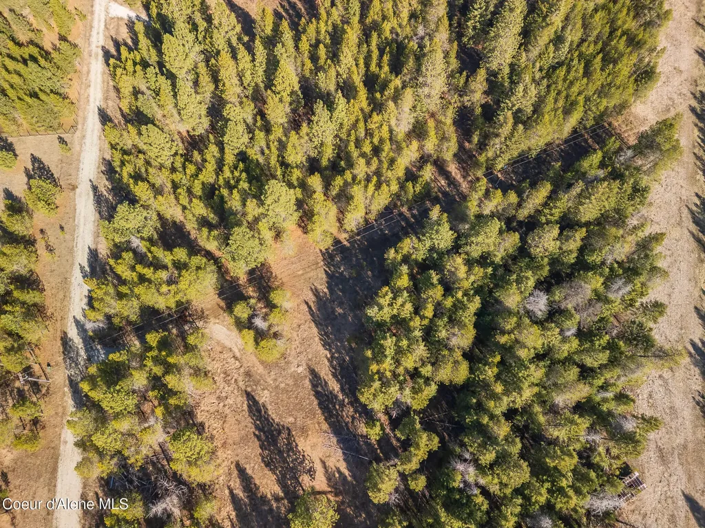 133 Pine Meadow Athol ID 83801