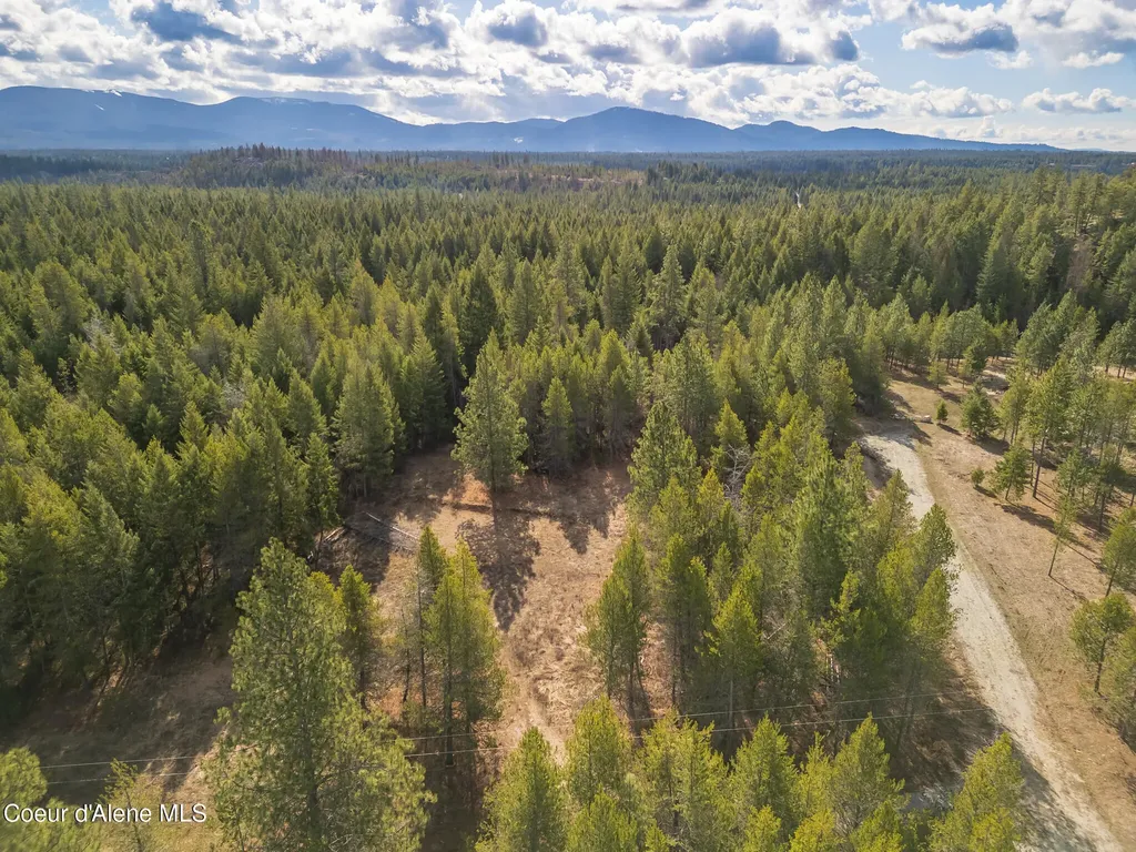 133 Pine Meadow Athol ID 83801