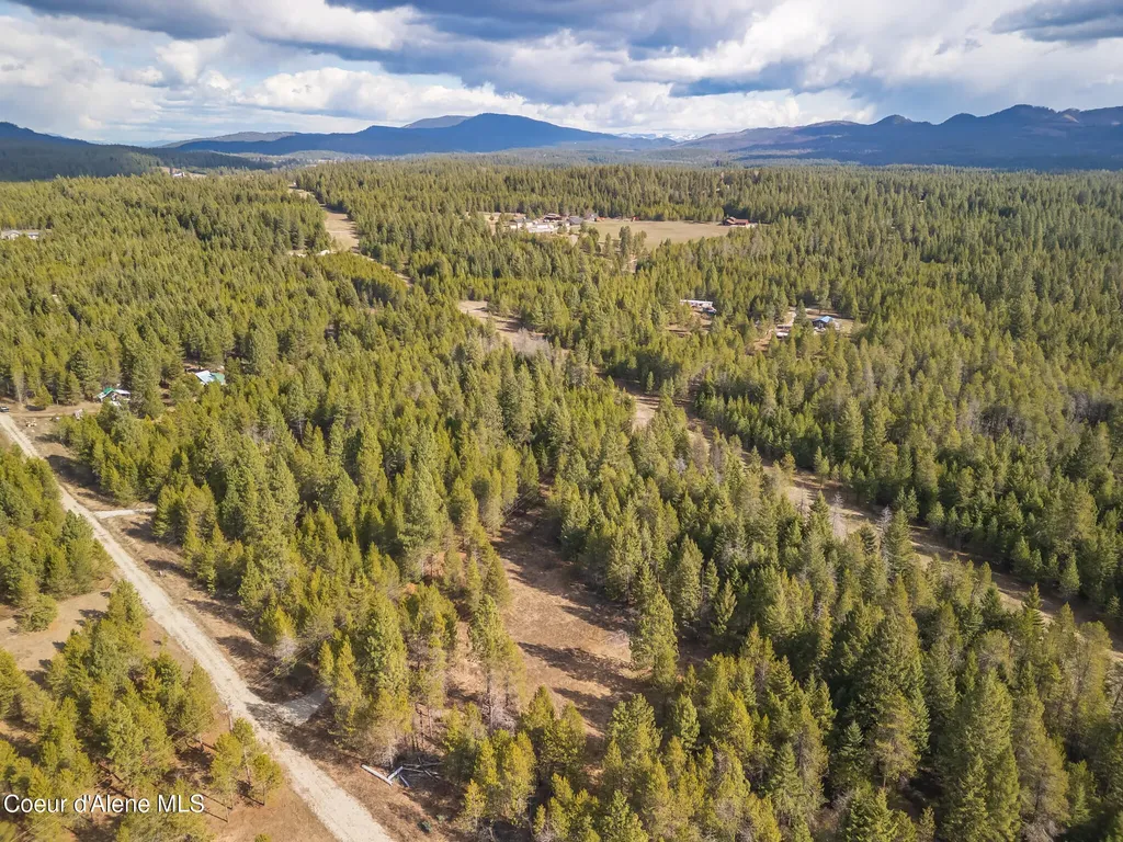133 Pine Meadow Athol ID 83801