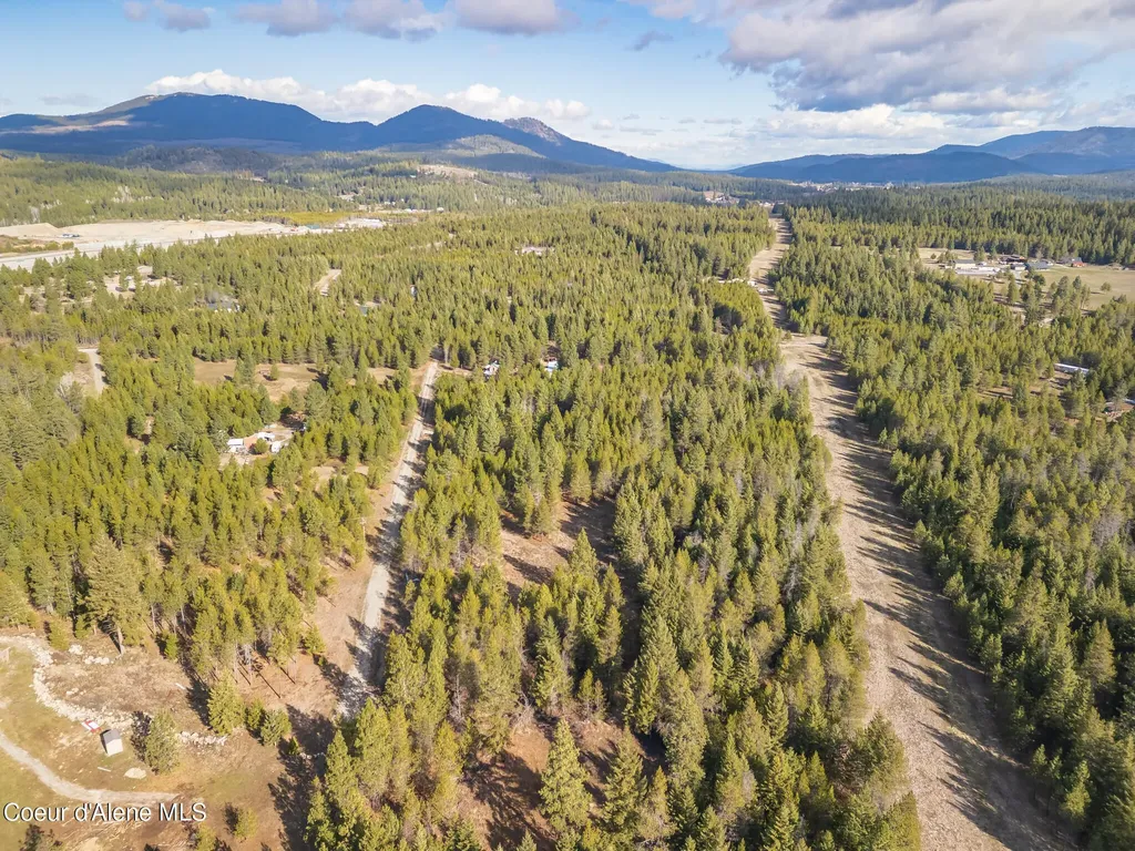 133 Pine Meadow Athol ID 83801