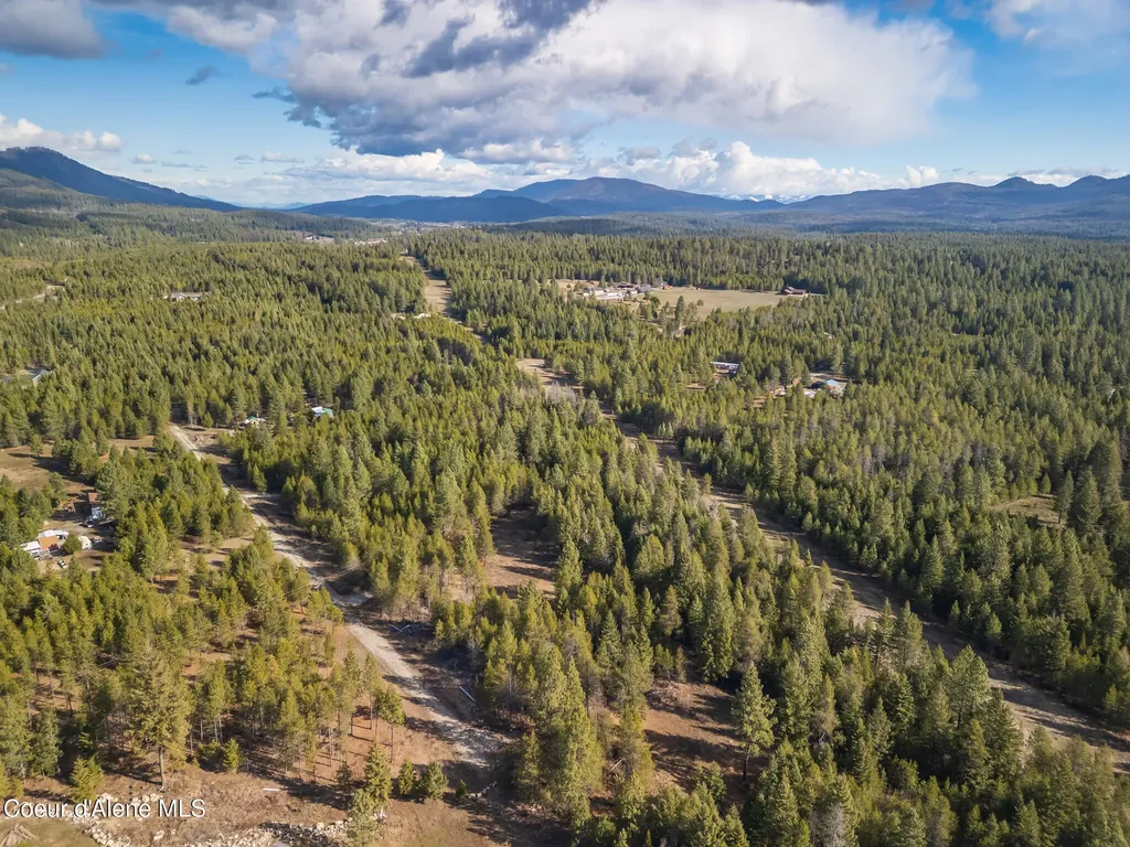 133 Pine Meadow Athol ID 83801