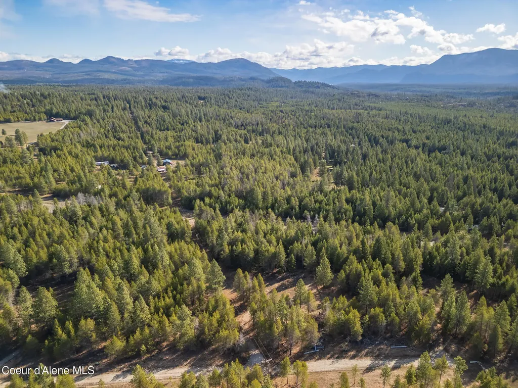 133 Pine Meadow Athol ID 83801