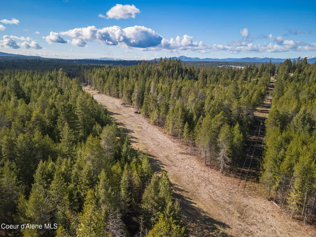 133 Pine Meadow Athol ID 83801