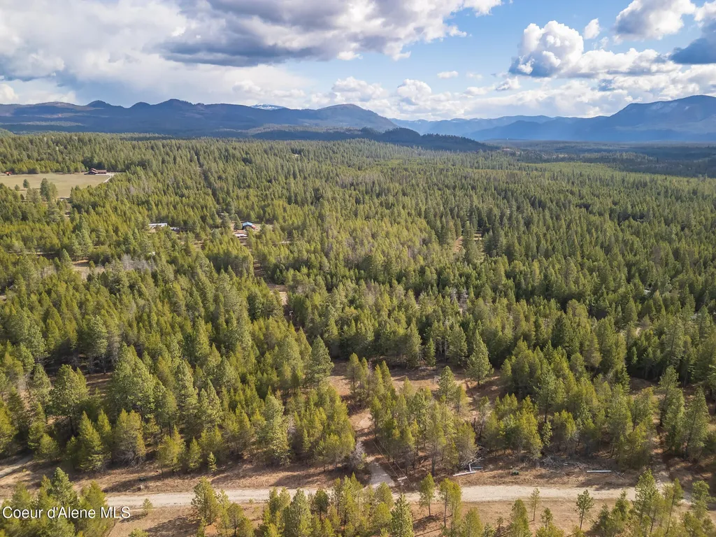 133 Pine Meadow Athol ID 83801